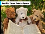 Cuddly 3 Teddy Jigsaw