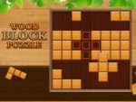 Picket Block Puzzle Sport